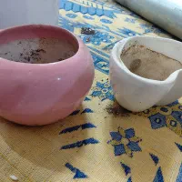 گلدان