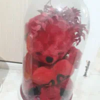 دو عدد عروسک‌در داخل استوانه
