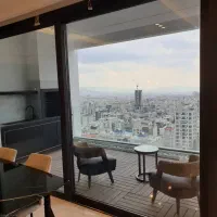 ۵۰۰ متر/ویلایی/کار و سکونت/نیاوران