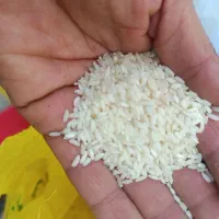 خوش پخت|خوردنی و آشامیدنی|دزفول, |دیوار