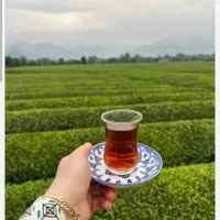 فروش چای بهاره درجه یک