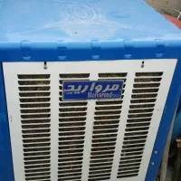 کولرابی