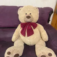 خرس بزرگ تمیز