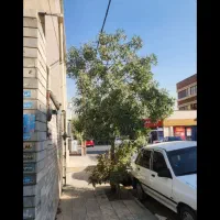 تجاری-کلنگی-200-متری-فروش-میدان-اتریش