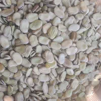 پله|خوردنی و آشامیدنی|همدان, |دیوار