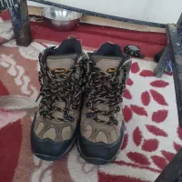 یک جفت کفش البرتینی ضداب
