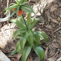 تور زیبا و محیج مخملکوه لرستان...