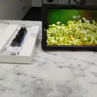 Galaxy tab s6 lite SM-P610 Gray 128 G|تبلت|ساری, |دیوار