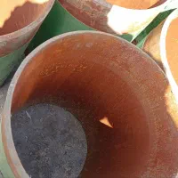 لوله مانیسمان