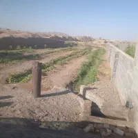 باغ فروشی در تقاب