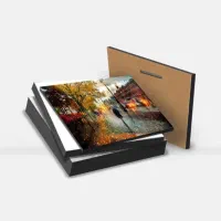 قاب عکس،تخته شاسی