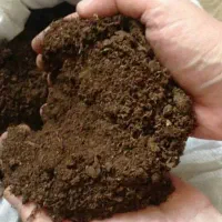 فروش کود خشک گوسفندی