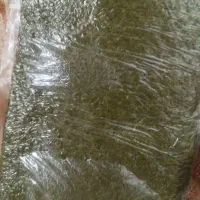 سبزی قورمه