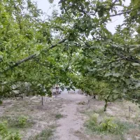 ویلایی ۹۰ متر زمین/گذر پهن/بغل دارد