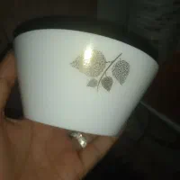 ظرف آرکوپال