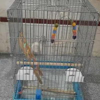 قفس سایز بزرگ