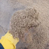 تفاله خرما موجود شد