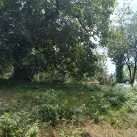 زمین باغی