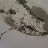 .سفیدکاری.ساختمان  گچکار