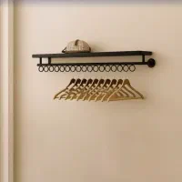 انواع دیوارکوب دیواری لباس