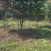 زمینی به مساحت 350 متر کاربری مسکونی در شهر ضیابر