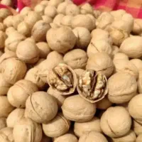 گردو خارجی درجه1 کاغذی
