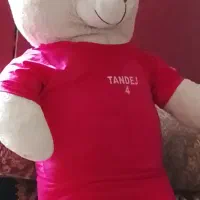 عروسک خرسی