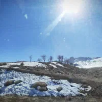 18-هکتار-زمین-باغ-سمنان-سند-تک-برگ-پسته