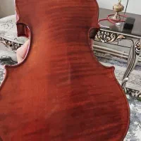 تی اف 800 tf|ویولن|اصفهان, باغ زرشک|دیوار