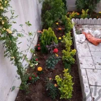 خدمات باغبانی گل کاری هرس کاری تعویض خاکگدان،،..