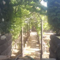خانه باغ ۲۲۰ متر فروشی تنگ چنار سه میلیارد و پانصد