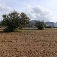 زمین