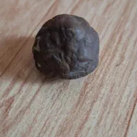 سنگ مشکوک به شهاب‌سنگ