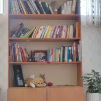 قفسه  کتابخانه