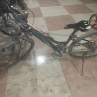 دوچرخه راپیدو