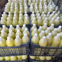 آبلیمو طبیعی / عرق نعنا / گلاب درجه یک