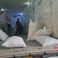 گردو پوست کاغذی