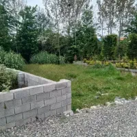بافت مسکونی سند ششدانگ 200 متر جنگلی