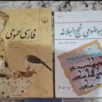 تفسیر نهج‌البلاغه و فارسی عمومی