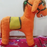 راکر سالم و محکم