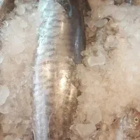 کارگر آقا