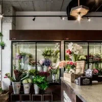 مغازه ۴۰ متری بر میدان