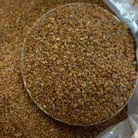 شیشه ویال ۱۰۰سیسی /بذر مونت/ کود بستر /شن رنگی