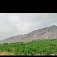 فروش-زمین-در-20کیلومتری-شیراز-فول-امکانات