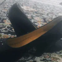 کفش|کیف، کفش، کمربند|بروجرد, |دیوار