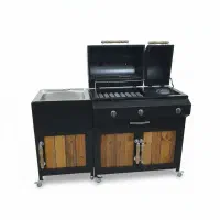 باربیکیو گازی ذغالی کابینتی کباب پز