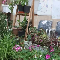 اجاره واحد در دادگستری