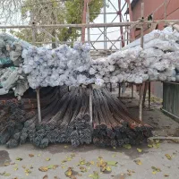 لوله pvc ، خرطومی ، قوطی کلید ، زانو