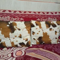 سه جفت بالشت