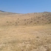 زمین مسکونی